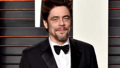 Who is Benicio Del Toro? Wiki: Wife
