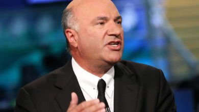 Who is Kevin O'Leary? Bio: Net Worth